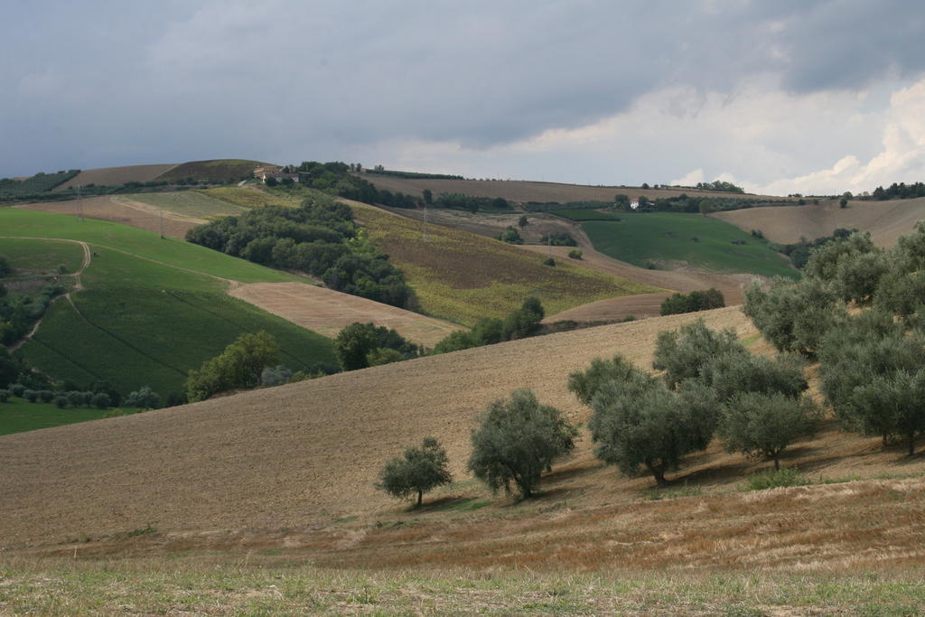 Agriturismo Cignale Penne Zewnętrze zdjęcie