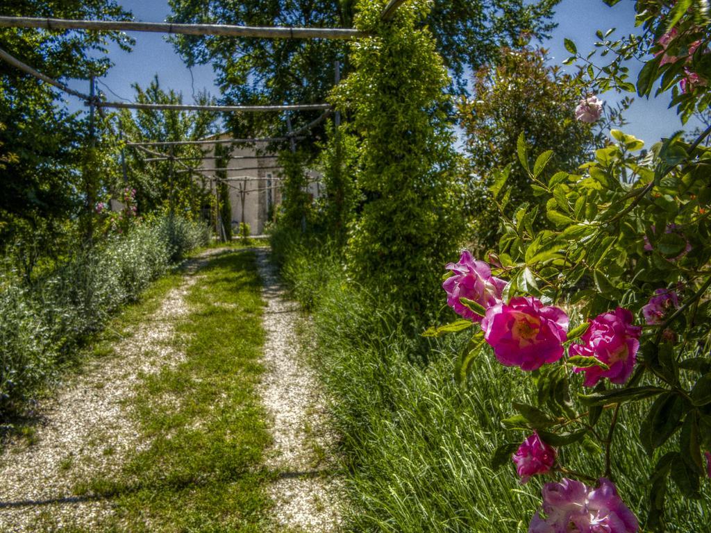 Agriturismo Cignale Penne Zewnętrze zdjęcie