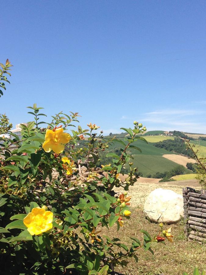 Agriturismo Cignale Penne Zewnętrze zdjęcie