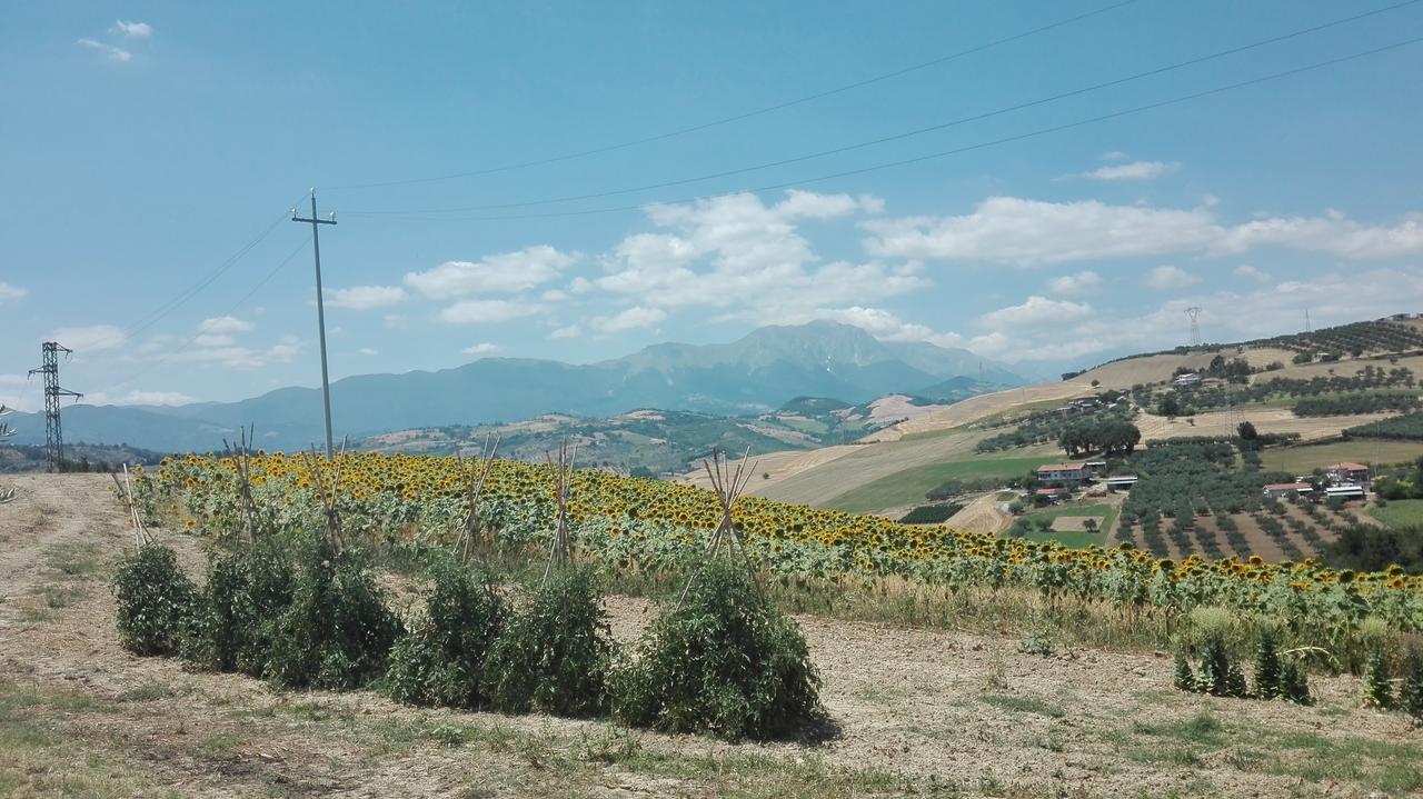 Agriturismo Cignale Penne Zewnętrze zdjęcie