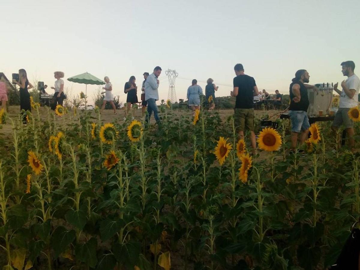 Agriturismo Cignale Penne Zewnętrze zdjęcie