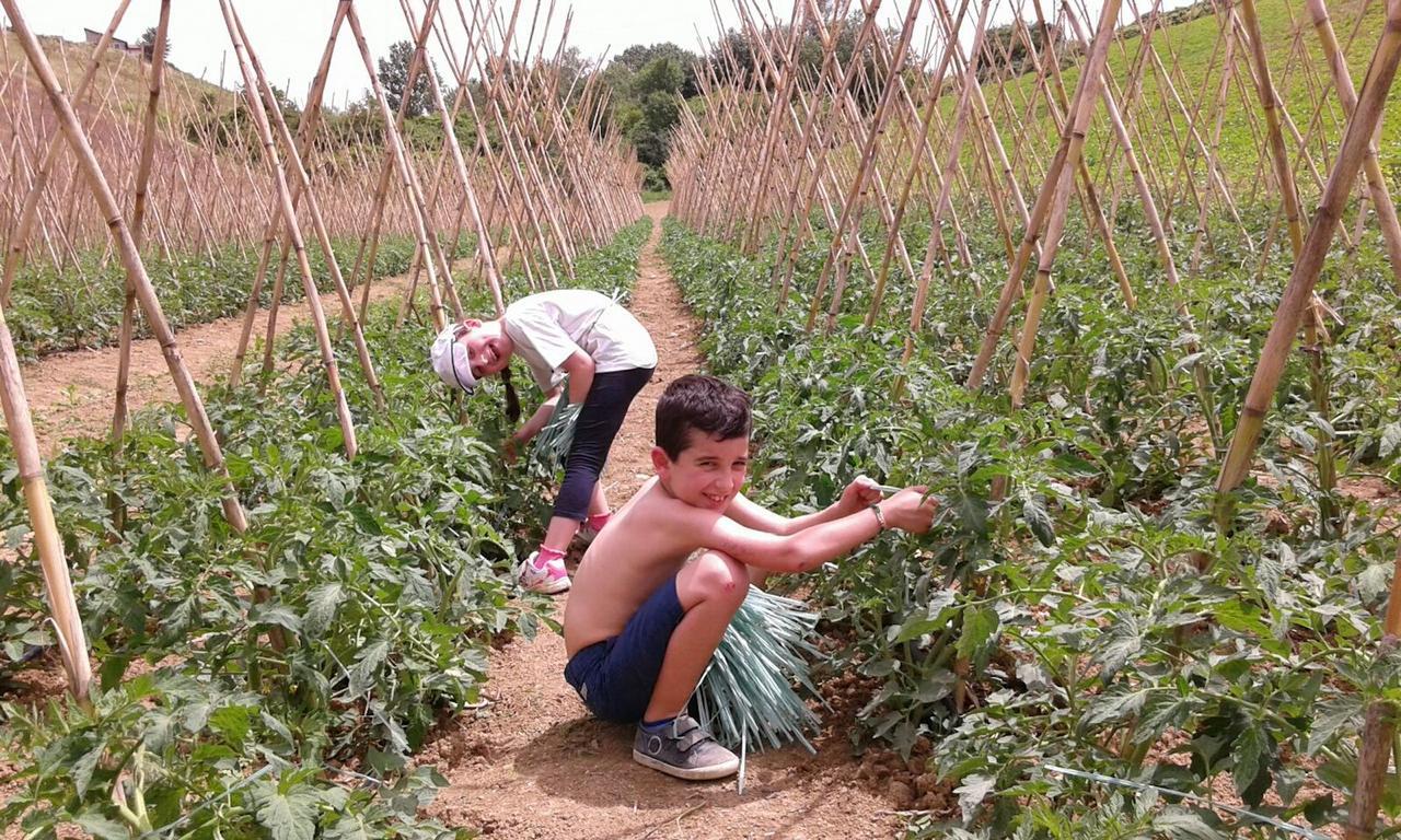 Agriturismo Cignale Penne Zewnętrze zdjęcie